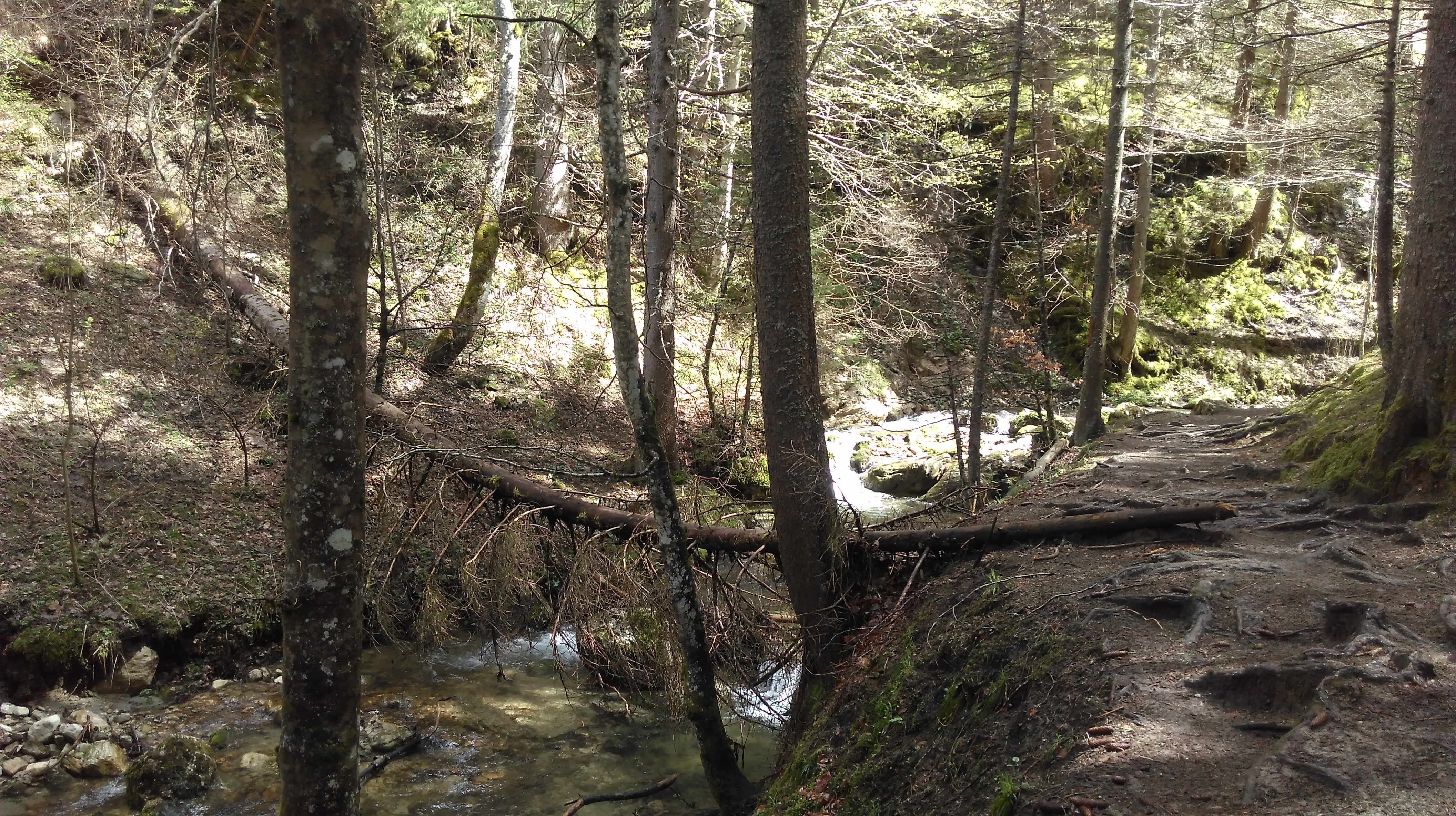 Balade à la cascade de la Fauge