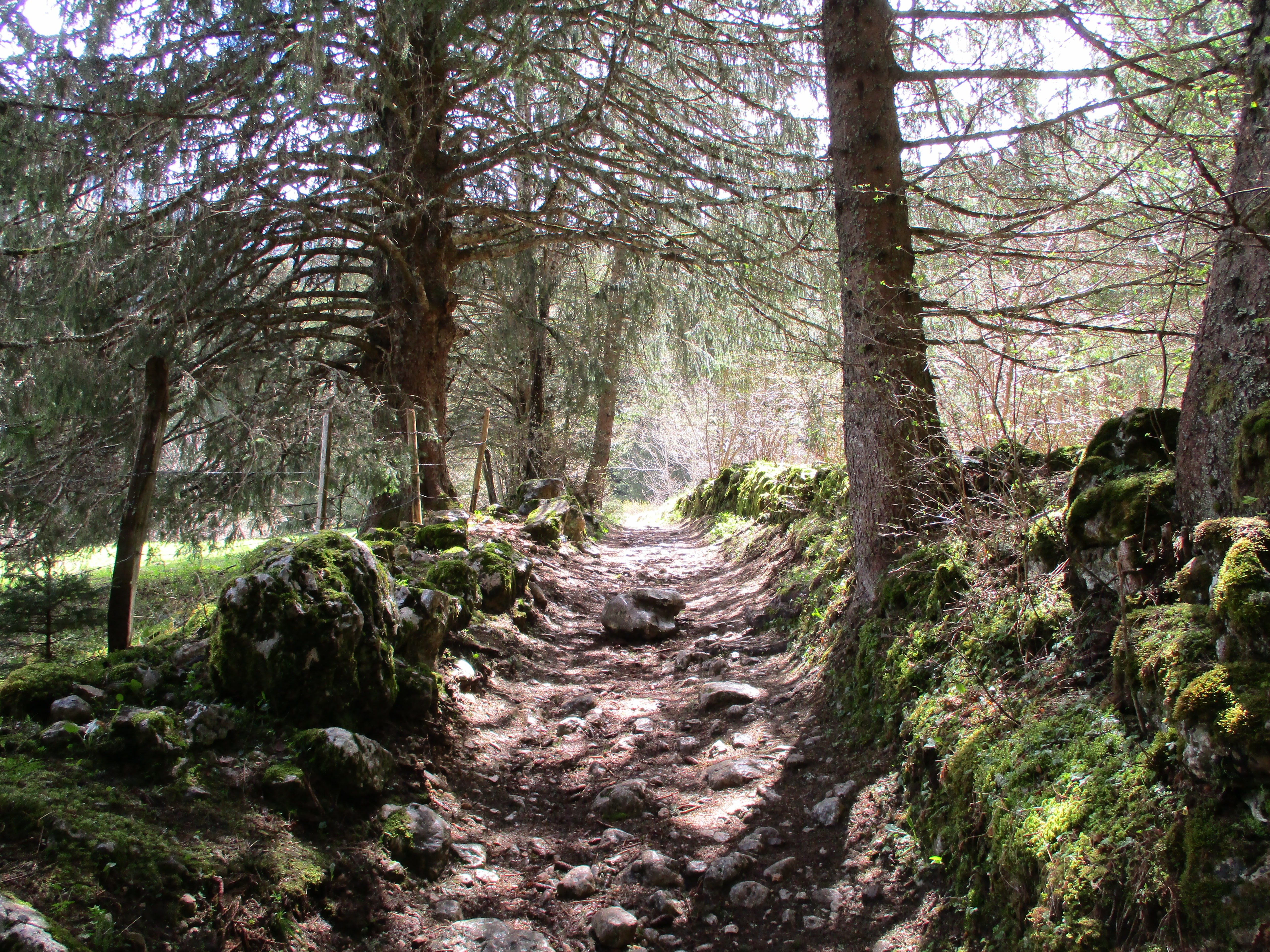 Balade à la cascade de la Fauge